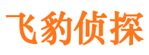 行唐侦探公司